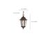 Cornerstone 1 Light 13" Hanging Lantern w/ Clear Seed Glass