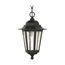 Cornerstone 1 Light 13" Hanging Lantern w/ Clear Seed Glass