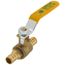 1/2" PEX x 1/2" PEX Ball Valve (Lead Free)