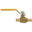 1/2" PEX x 1/2" PEX Ball Valve (Lead Free)