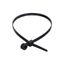 11" Black Nylon Ties with Mounting Hole (Pack of 100)