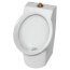 Decorum 0.125 gpf/0.47 Lpf Top Spud Urinal With EverClean