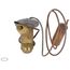 Expansion Valve (TXV), 61-21922-80
