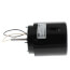 Ventor Motor (115V), 61069