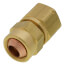 1/2" Female Compression Fitting Assembly