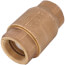 2" Threaded Bronze Spring Check Valve