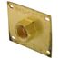1/2" x 1/2"  FIP Wal-Let Wall Termination Fitting (Brass)