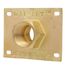 3/4" FIP Wal-Let Wall Termination Fitting
