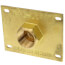1/2" CPVC x FIP, 1-5/8" Straight Brass Wal-Let Wall Termination Fitting