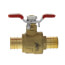 3/4" PEX x 3/4" PEX Ball Valve, T-Handle (Lead Free)