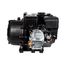 6RLPG-2U Thermoplastic Gas Driven Agricultural Chemical/Fertilizer Transfer Pump (Black)