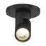 12 Watt LED Black Barrel Monopoint 3000K 36 deg. Beam Angle
