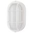 LED Small Oval Bulk Head Fixture White Finish w/ White Glass