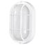 LED Small Oval Bulk Head Fixture White Finish w/ White Glass
