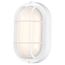 LED Small Oval Bulk Head Fixture White Finish w/ White Glass