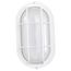 LED Small Oval Bulk Head Fixture White Finish w/ White Glass