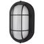 LED Small Oval Bulk Head Fixture Black Finish w/ White Glass