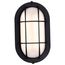 LED Small Oval Bulk Head Fixture Black Finish w/ White Glass