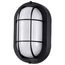 LED Small Oval Bulk Head Fixture Black Finish w/ White Glass