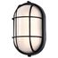 LED Oval Bulk Head Fixture Black Finish w/ White Glass