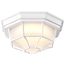 LED Spider Cage Fixture White Finish w/ Frosted Glass