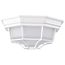 LED Spider Cage Fixture White Finish w/ Frosted Glass