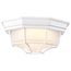 LED Spider Cage Fixture White Finish w/ Frosted Glass