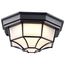 LED Spider Cage Fixture Black Finish w/ Frosted Glass