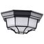 LED Spider Cage Fixture Black Finish w/ Frosted Glass