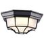 LED Spider Cage Fixture Black Finish w/ Frosted Glass
