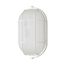 LED Oval Bulk Head Fixture White Finish w/ White Glass