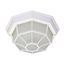 LED Spider Cage Fixture White Finish w/ Frosted Glass