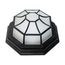 LED Spider Cage Fixture Black Finish w/ Frosted Glass