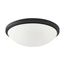 Button LED 17" Flush Mount Fixture Black Finish