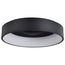 Orbit 30W LED Flush Mount Black Finish