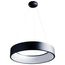 Orbit 30W LED Pendant Black Finish