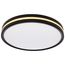 15 Inch Surface Mount w/ Night Light 5 CCT Selectable Matte Black Finish