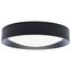 Selene 13 Inch LED Flush Mount CCT Selectable Black Finish
