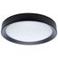 Selene 17 Inch LED Flush Mount CCT Selectable Black Finish