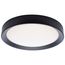 Selene 17 Inch LED Flush Mount CCT Selectable Black Finish