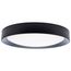 Selene 17 Inch LED Flush Mount CCT Selectable Black Finish