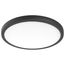 Blink Pro Plus 34 Watt 19" Surface Mount LED CCT Selectable 90 CRI Black Finish 120/277 Volt Round Shape