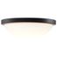 Button 11 Inch LED Flush Mount Fixture Matte Black Finish CCT Selectable 120 Volts