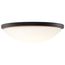 Button 17 Inch LED Flush Mount Fixture Matte Black Finish CCT Selectable 120 Volts