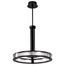 Darrow 24 Inch LED Pendant Matte Black Acrylic Panels