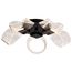 Barnett 21 Inch LED Flush Mount Matte Black Silk Screened Acrylic Lens
