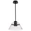 Edmond 14 Inch LED Pendant Matte Black w/ Clear Glass