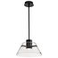 Edmond 14 Inch LED Pendant Matte Black w/ Clear Glass