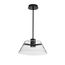 Edmond 17 Inch LED Pendant Matte Black w/ Clear Glass
