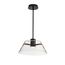 Edmond 17 Inch LED Pendant Matte Black w/ Clear Glass